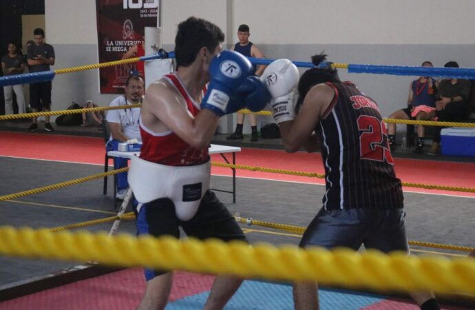 boxeo